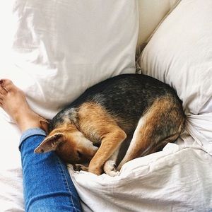 Meet your Posher, Lexi